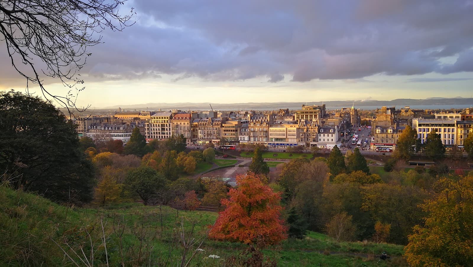 Johnston Terrace Garden