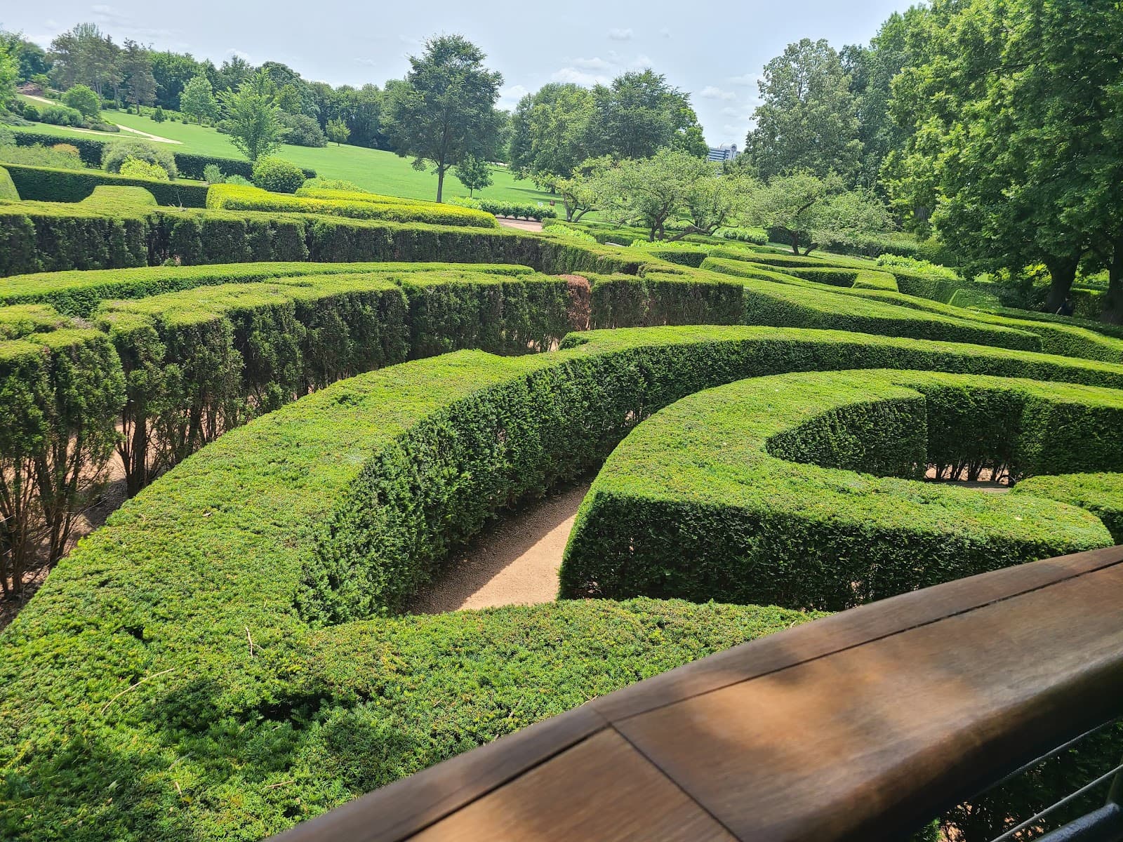 Maze Garden
