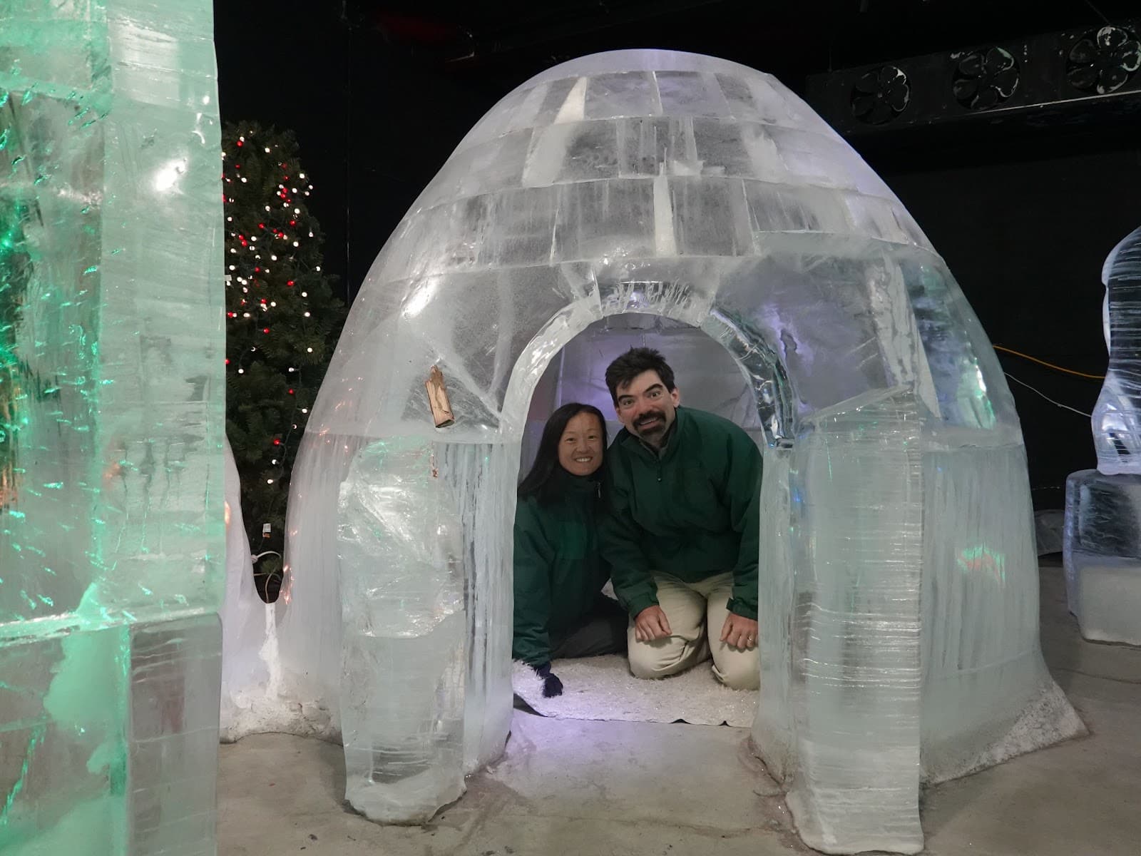 Fairbanks Ice Museum 🧊