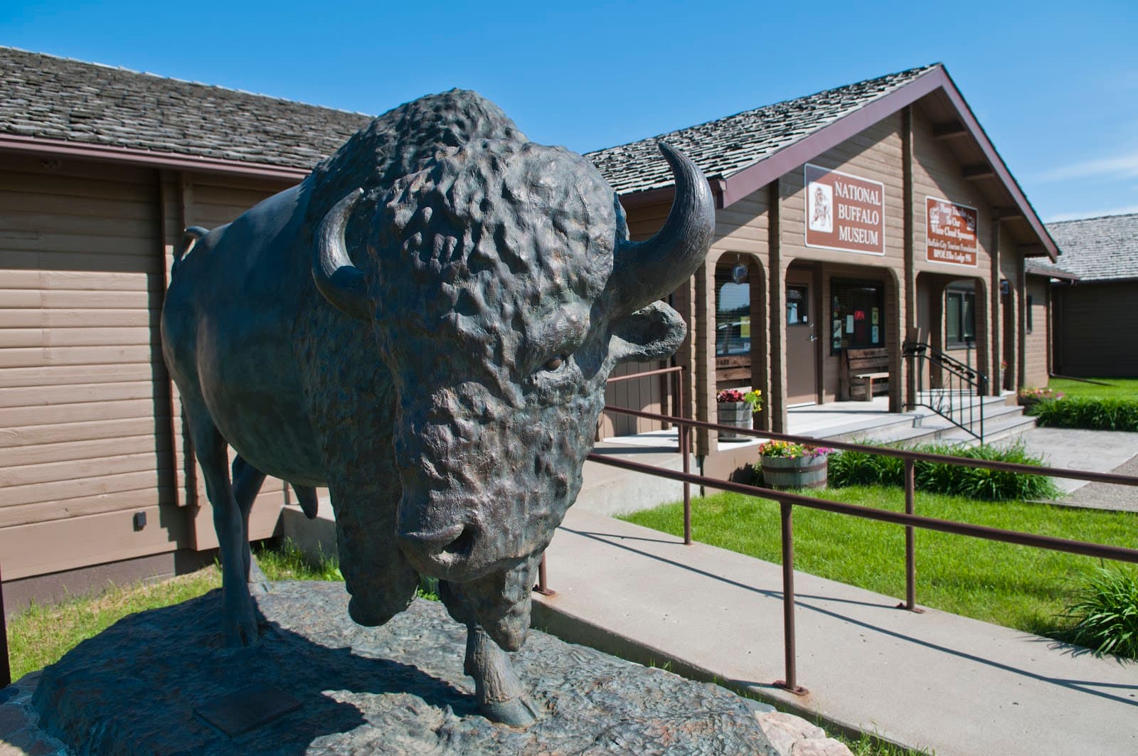 North American Bison Discovery Center