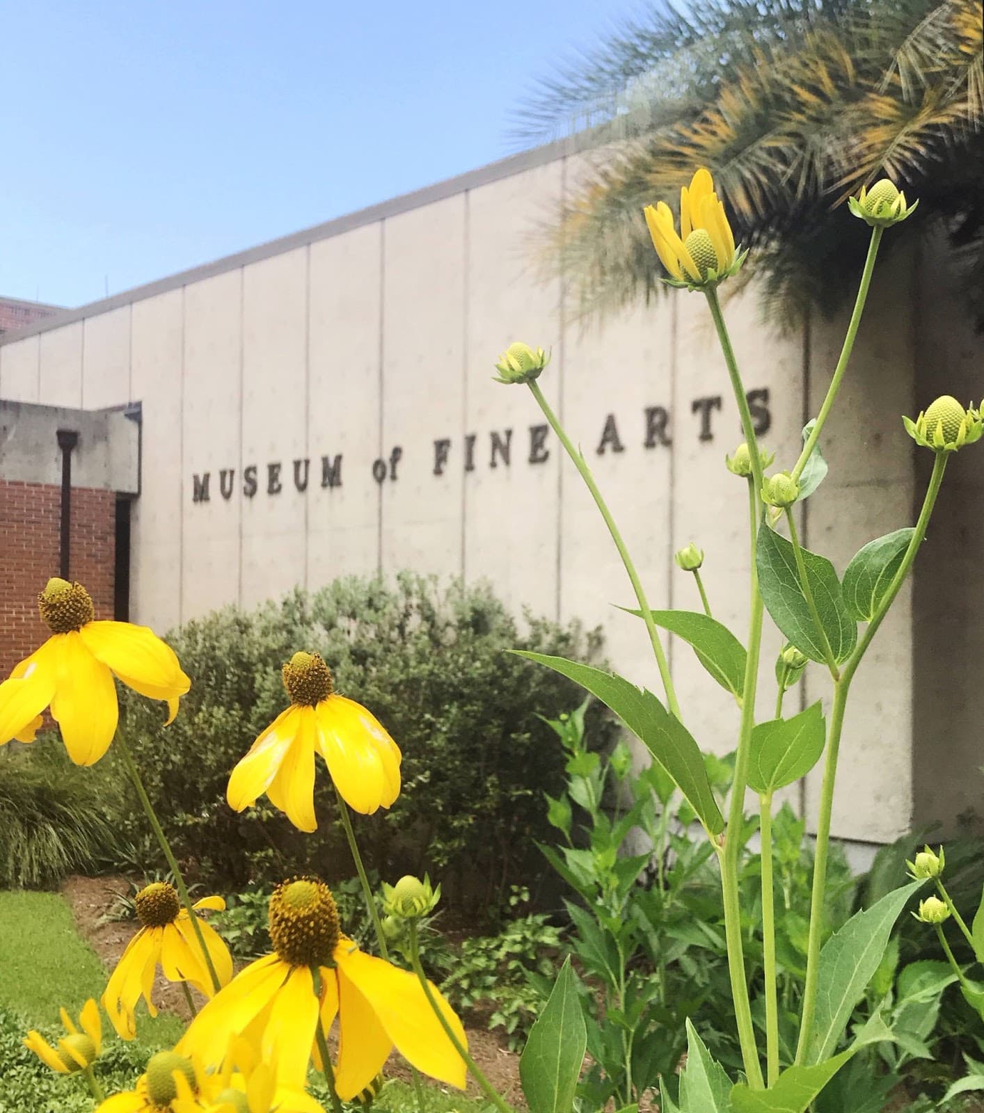 Florida State University Museum of Fine Arts