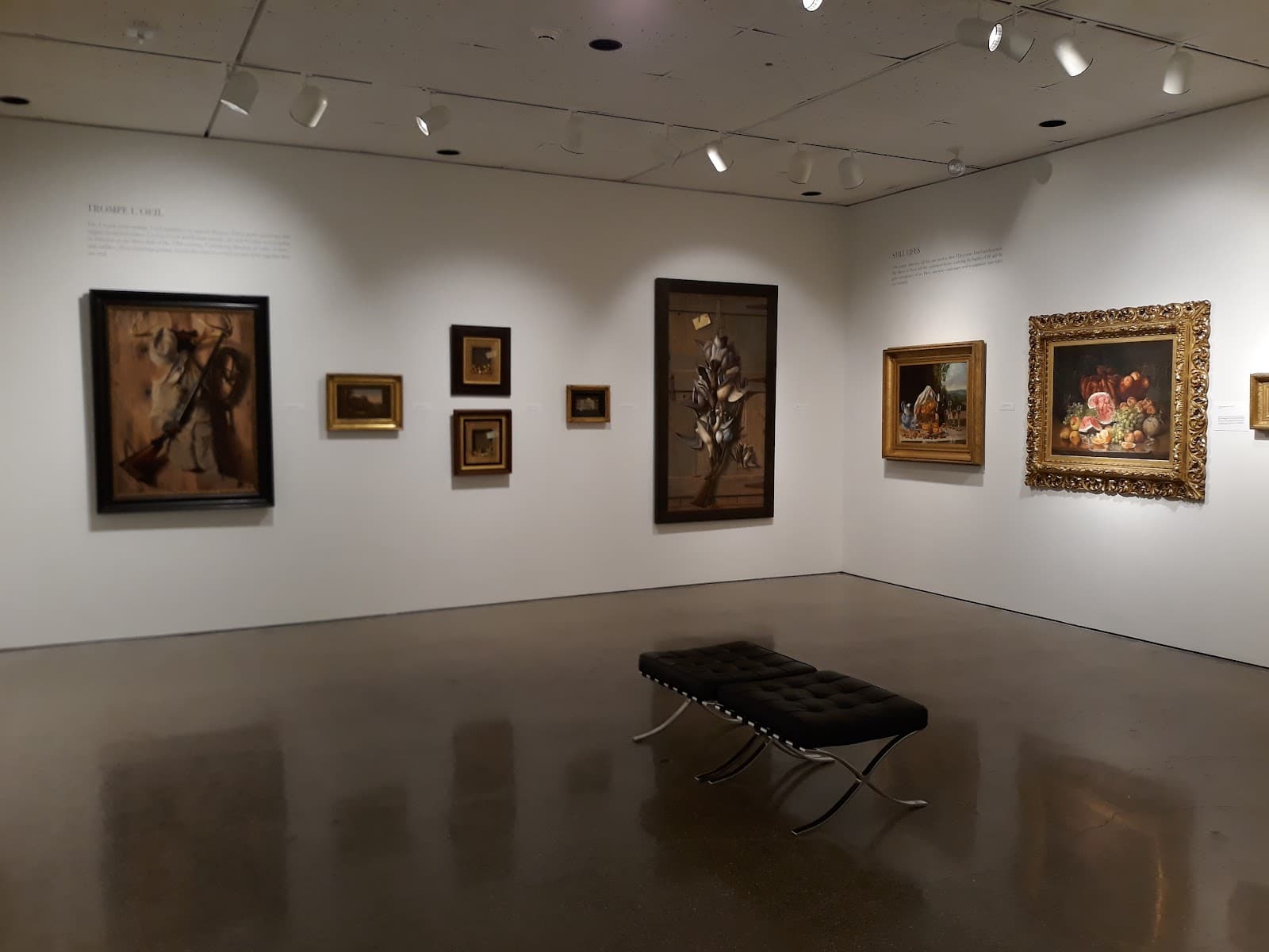 Oakland University Art Gallery