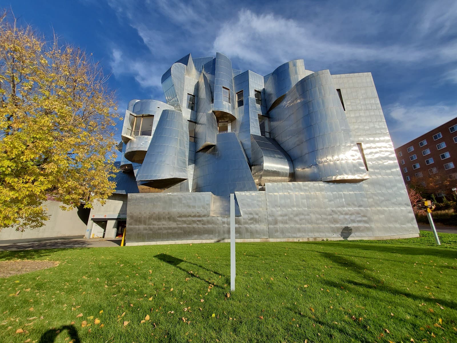 Weisman Art Museum