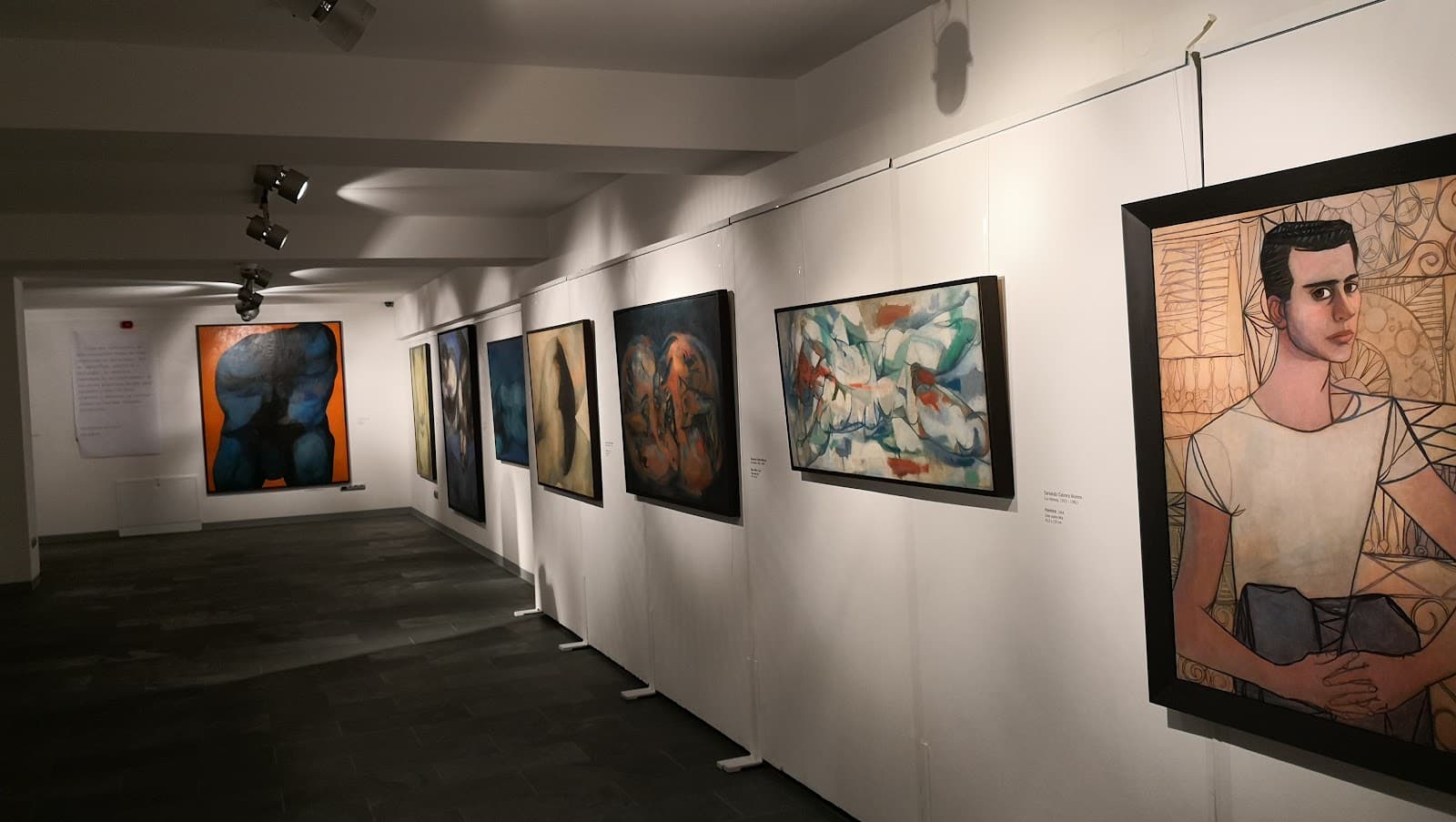 Cuban Museum of Fine Arts