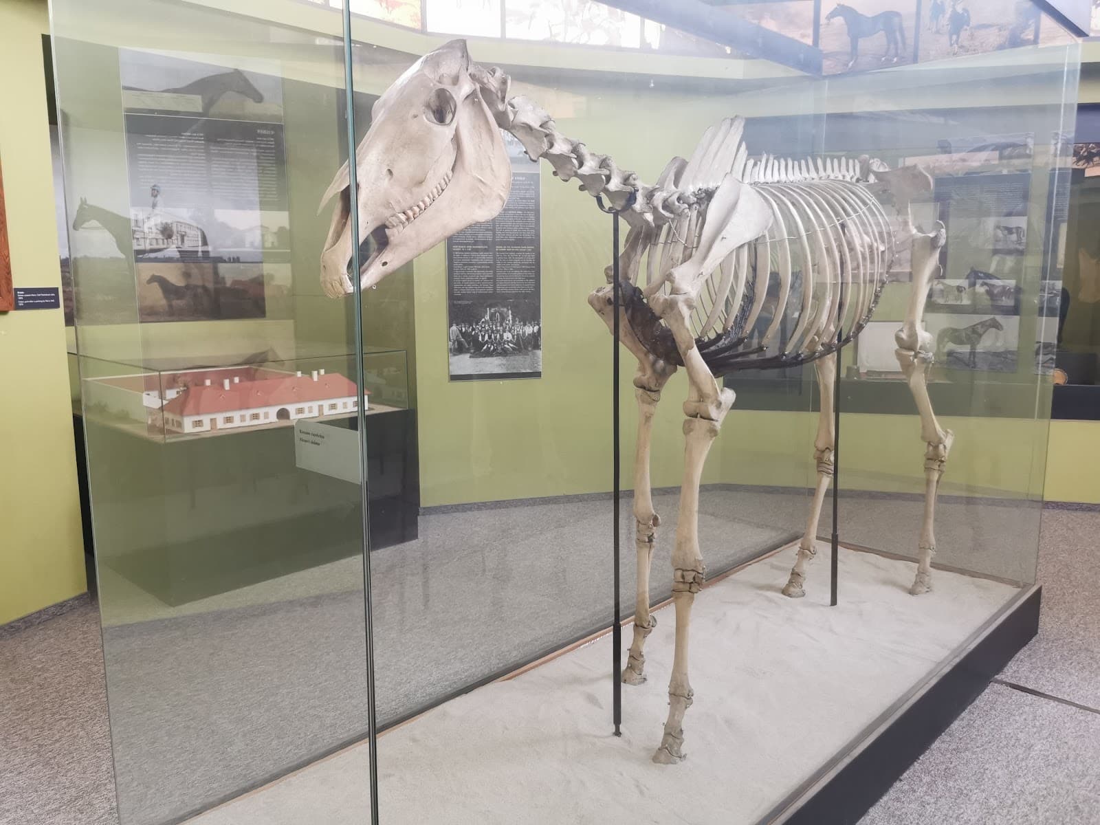 Museum of Hungarian Agriculture