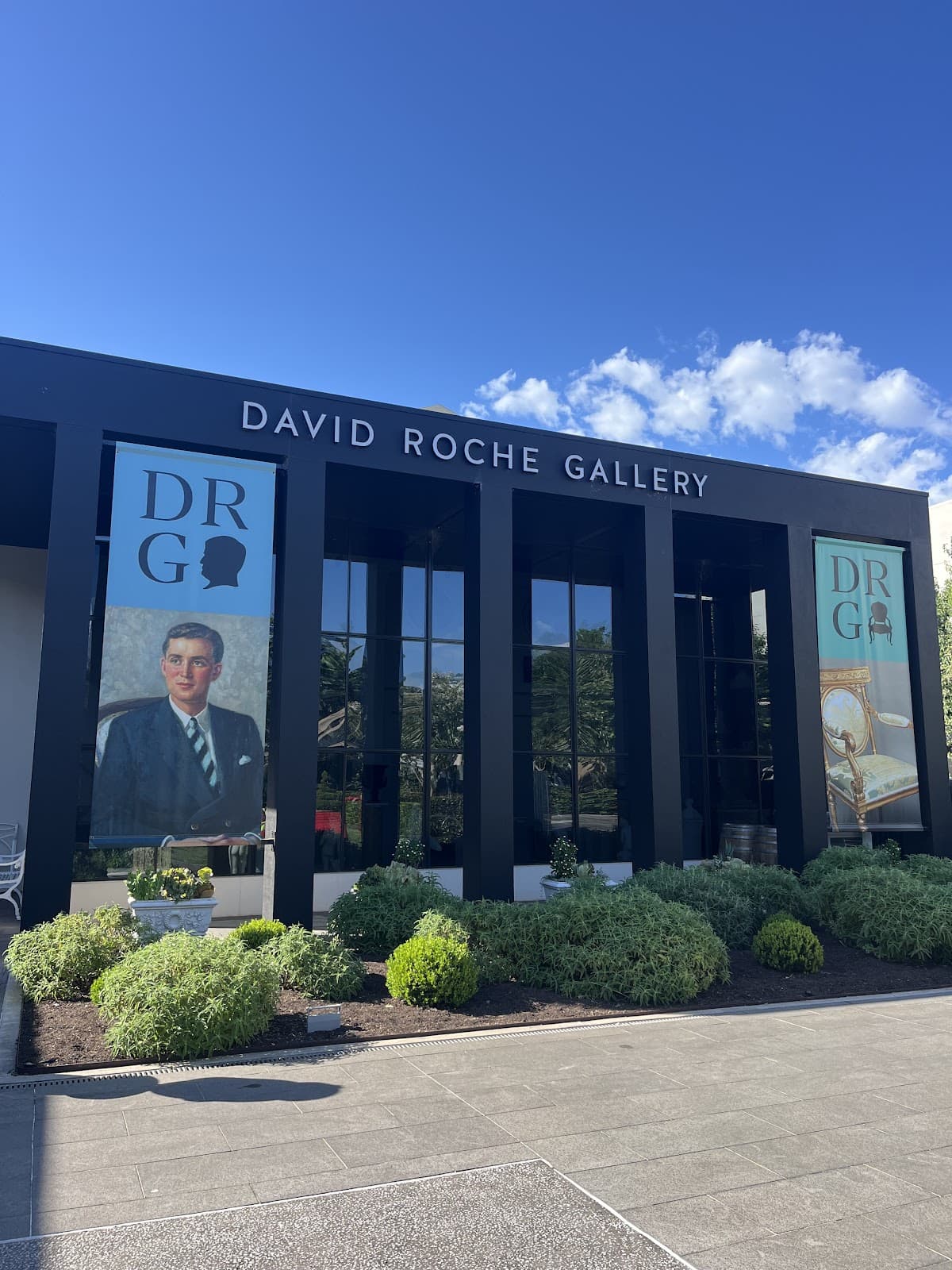 David Roche Gallery