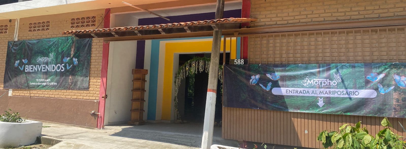 Mariposario y restaurante Morpho Puerto Vallarta
