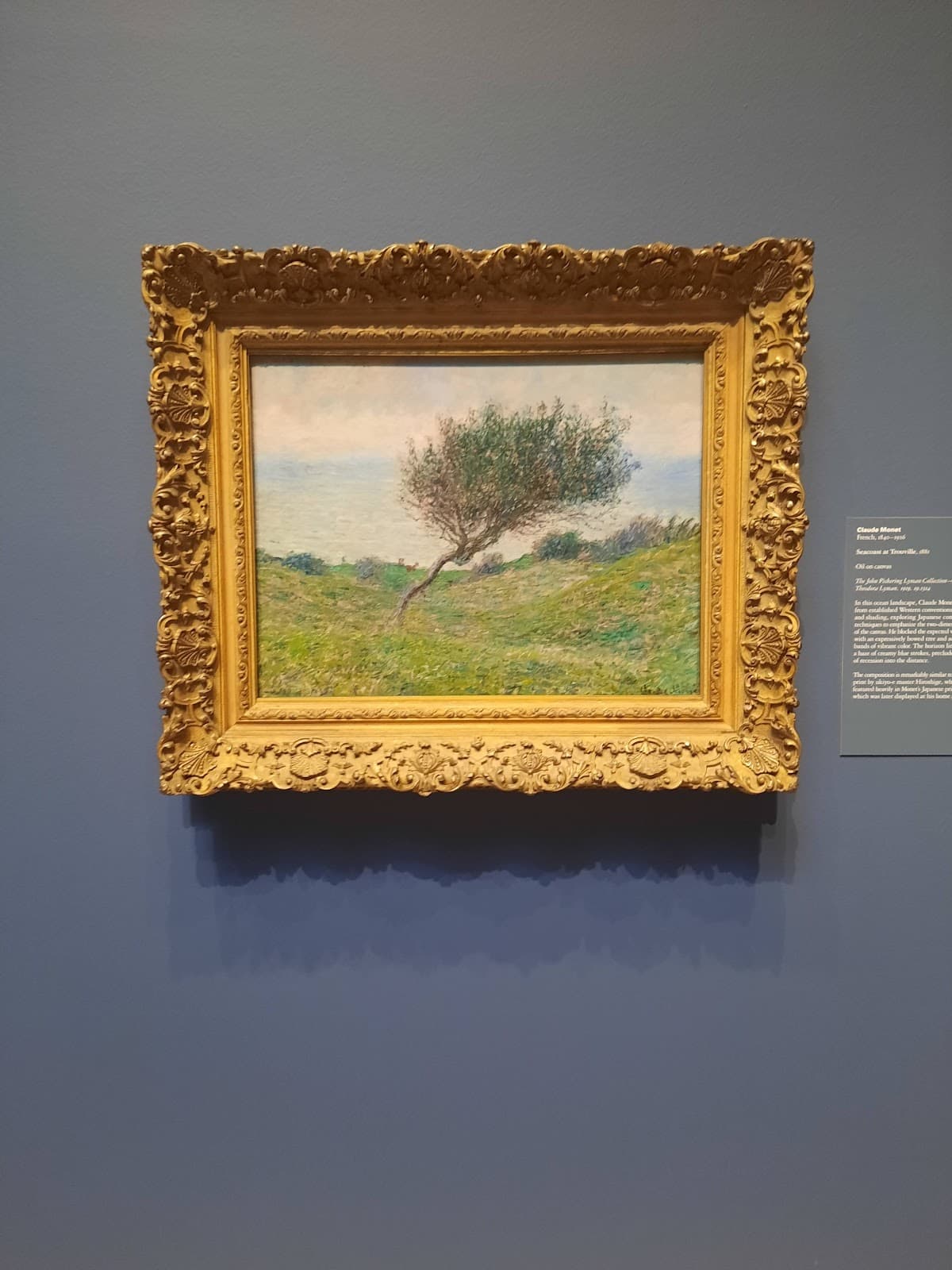 Caroline Wiess Law Building at the Museum of Fine Arts, Houston