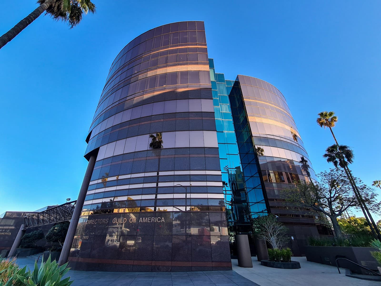 Directors Guild of America